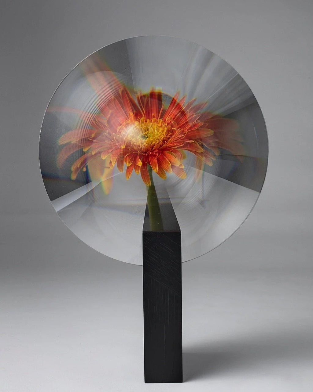 Phantom Vase - Kreative Moderne Dekorative Vase