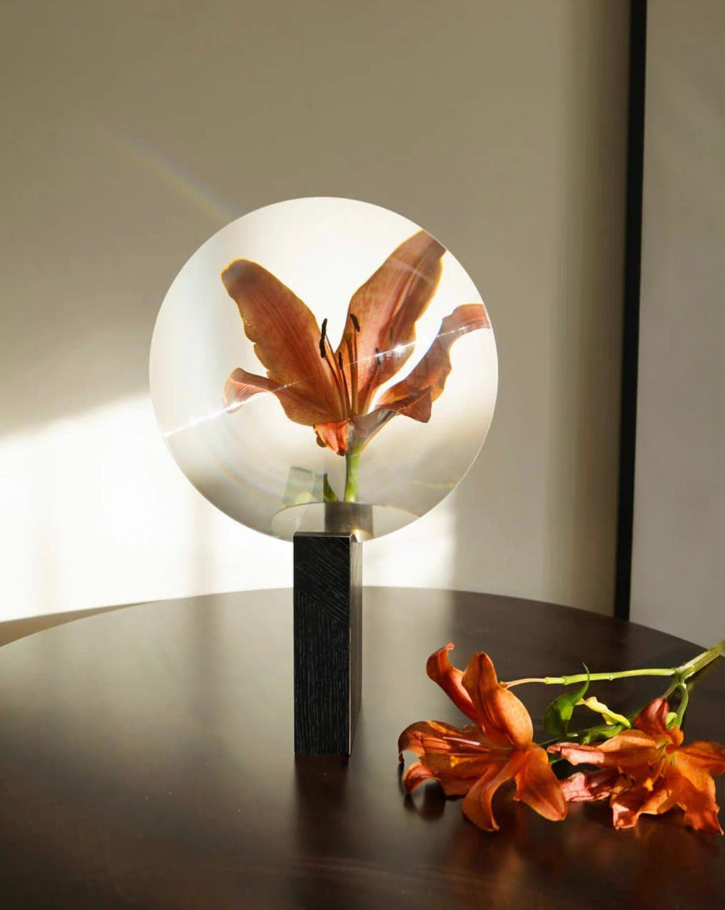 Phantom Vase - Kreative Moderne Dekorative Vase